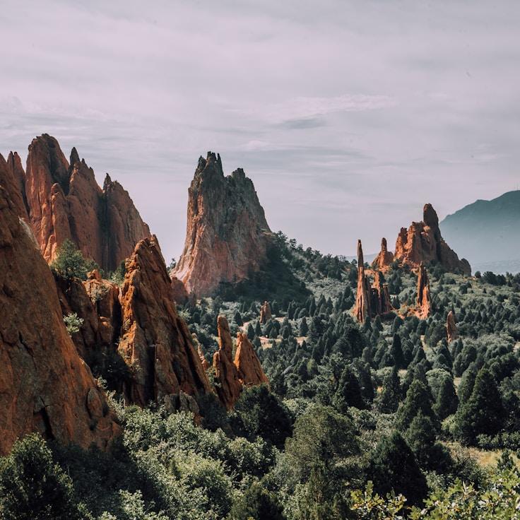 Conservation areas at a glance